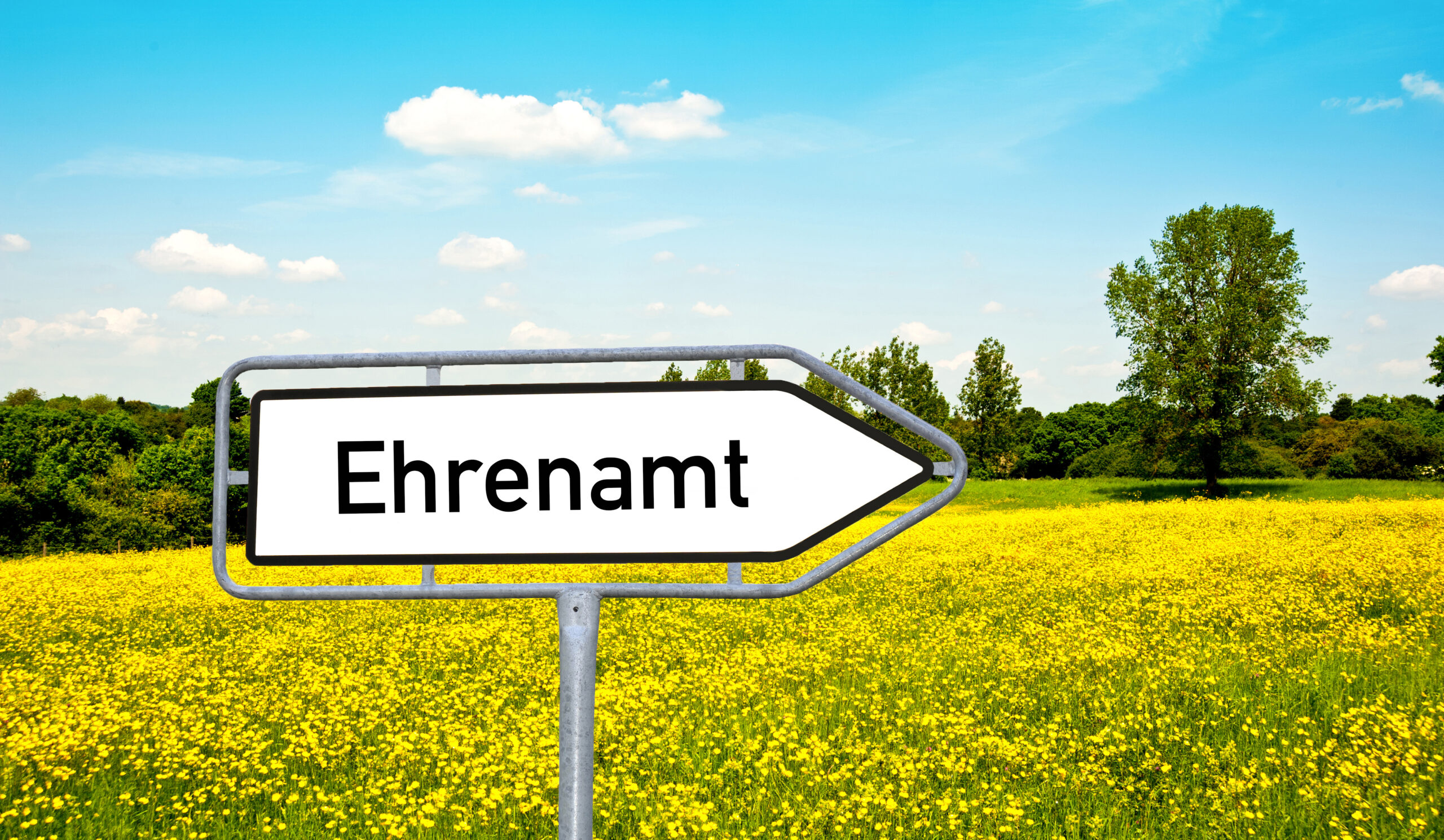 Ehrenamt